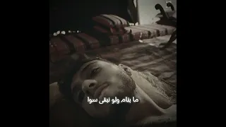 الشامي ما نمت بليلتنا سوا ما تفل الشامي Al Shami 2025 ترند تيك توك جديد 