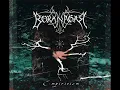 Borknagar - The Genuine Pulse