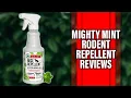 Mighty Mint Rodent Repellent Review Should You Buy It Expert Analysis Inside