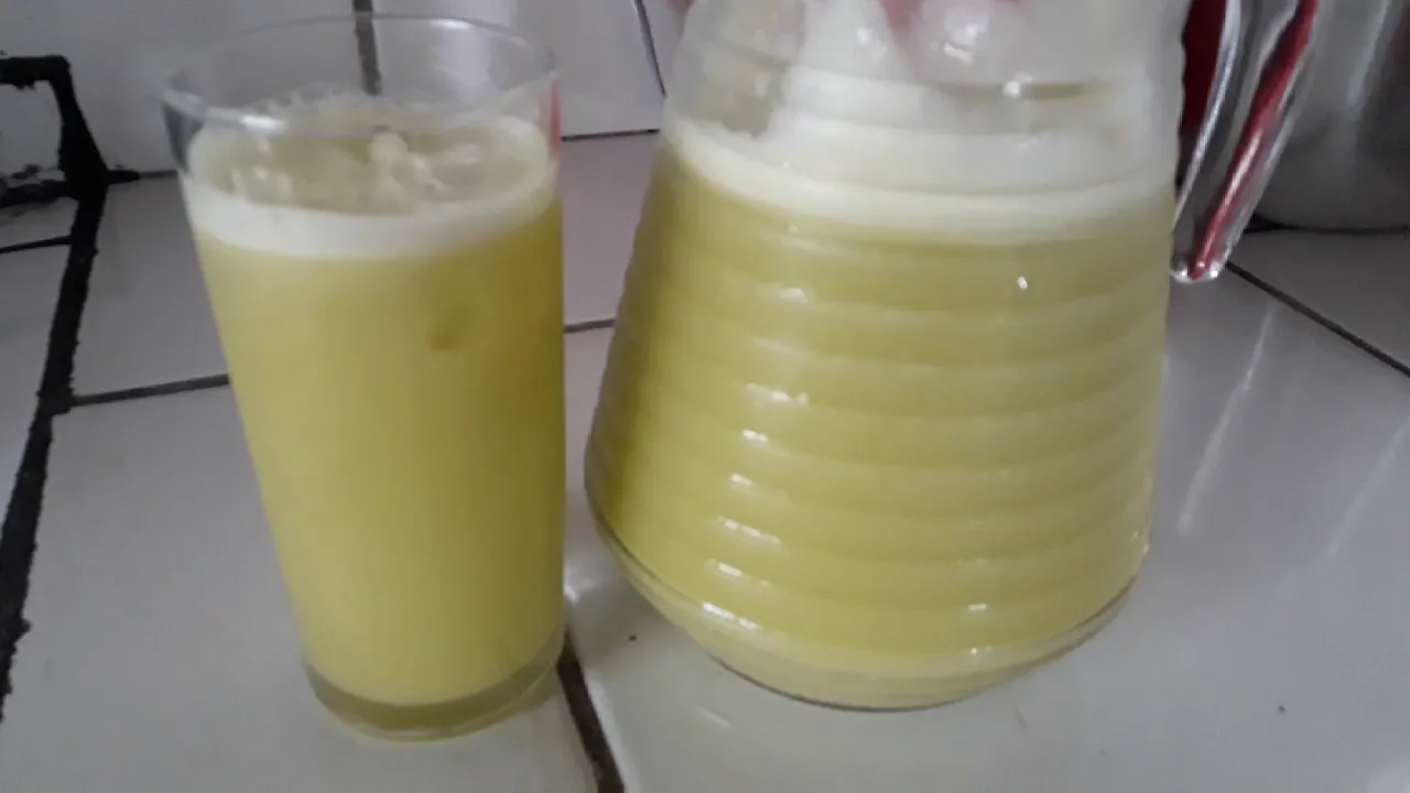 SUCO DE MANGA FRESQUINHO GELADINHO DELICIOSO CONFIRA POR MARA CAPRIO