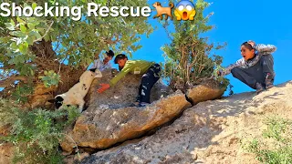 a helpless dog was trapped among the cliffs of the zagros mountains watch the unbelievable ending