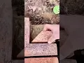 Download Lagu installing a brick to make a very unique fence #machine #djtiktok2025 #anotherbrickinthewall