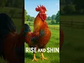 Download Lagu Suara Ayam Jantan Berkokok Asli di AS | Suara Alarm Pagi Asli 4K (Tanpa Musik)
