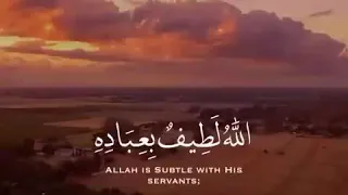 الله لطيف بعباده   أجمل حالات واتس اب قرآنية   بصوت القارئ أسلام صبحي   أريح  قلبك بذكر الله   دندنها