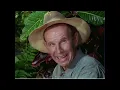 Download Lagu Over 50? Steal - Classic Hawaii Five-0