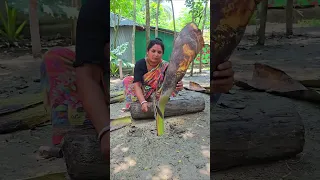 The Art of Eco-Friendly Fishing: Palm Tree Bark Trap Crafting. 