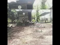 Download Lagu Berpencak d’kebun feat Serunai lagu Damak.