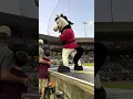 Download Lagu Ace the Arkansas Travelers Mascot Helps the Crowd Sing Take Me Out to the Ballgame