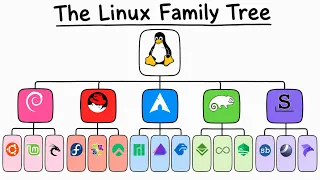 Linux Distros Explained for Beginners