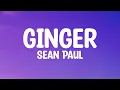 Download Lagu Sean Paul - Ginger (Lyrics)