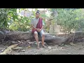 Download Lagu Katiko madang ndk babuah