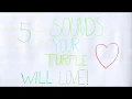 Download Lagu 5 Sounds Your Turtle Will Love !