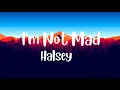 Download Lagu Halsey - I'm Not Mad (lyrics)