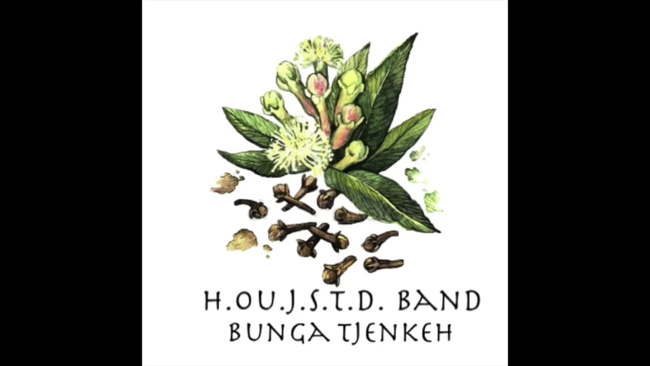 H.ou.J.S.T.D Band - Jacomina H.ou.J.S.T.D Band - Jacomina
