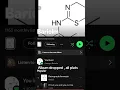 Download Lagu #music #audio #song #underground #indie #spotify #applemusic
