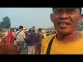 Download Lagu Update Harga Pedet Jantan di Pasar Minggu Semanu Gunungkidul‼️