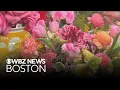 Florist from Franklin Massachusetts explains why it is important to shop small on Valentine s Day