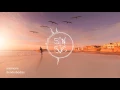 slenderbodies - anemone
