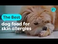 My Dog Has Skin Allergies - Does Changing Their Food Actually Help Vet Answers
