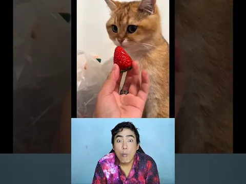 Tahan Tawa Part 1871