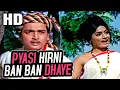 Lagu प्यासी हिरणी बन बन ढाए | Pyasi Hirni Ban Ban Dhaye | Lata Mangeshkar | Do Dil 1965 Songs | Rajshree