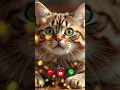 Download Lagu #ringtone #nadaderingtelepon #ringtones#cat #cute #funny #smartphone #music#bgm #calling