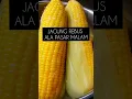 Download Lagu Jagung rebus ala pasar malam