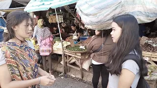 zscmst indie film