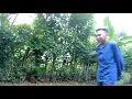 Download Lagu PARODY MAEL LEE(IKAN ASIN)