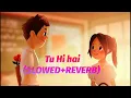 TU HI HAI |(SLOWED+REVERB) | Ali Zafar | Alia Bhatt | #tuhihai #lofi #slowedandreverb #aliabhatt