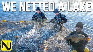 We Netted A Carp Fishery! | An INSANE Amount Of Fish