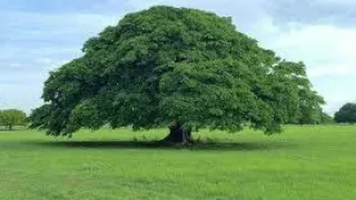 Hees Qaraami Macaan Badan Xulka Qaraamiga H Soo Dhiib Waraaqaha Hes Lyrics 