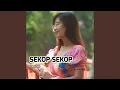 Lagu Sekop Sekop (Party Club)