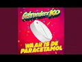 Download Lagu Waar Is De Paracetamol