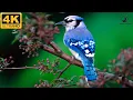 Download Lagu Simply Incredibly Beautiful, This New Song by Sergey Grischuk will take you far! Music 2022