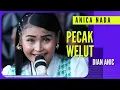 Download Lagu PECAK WELUT | DIAN ANIC | ANICA NADA SIANG 02 NOVEMBER 2023 DS SUKAREJA BANJARHARJO BREBES
