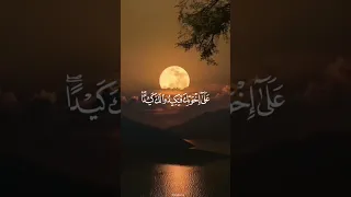 إ ذ ق ال ي وس ف ل أ ب يه للقارئ كريم منصوري سورة يوسف 