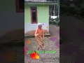 Download Lagu Nenek\