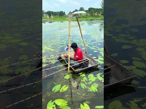 Amazing rural fishing - MR Fishing Life  #mrfishinglife #fishingvideos