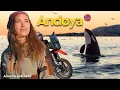 Download Lagu This is Norway's Whale Paradise - But I found something else | Ep. 7