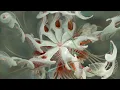 Cassian - Dun Dun (Extended Mix)
