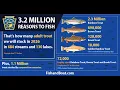 2026 Trout Stocking Schedules Available B-Roll