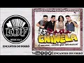 Forró Rasta Chinela - Volume 14