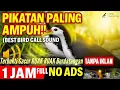 Download Lagu SUARA PIKAT RUAK-RUAK PALING AMPUH‼️DATANG SEMUA‼️100%TERBUKTI 🔥||White-Breasted Waterhen Sound 2025