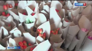 Омские теплицы начинают срезать тюльпаны для продажи к 8 марта