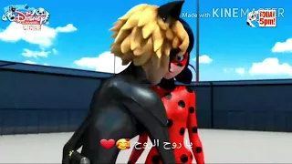 اغنية يا روح الروح من تصميمي على ادريان القط الاسود 