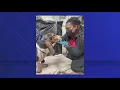 Dog found shot in head is on road to recovery