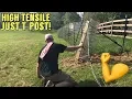 Strong Fence - No Digging Dogs Goats Pigs Whatever