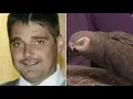 Parrot Was Key Witness in Murder Trial as Woman Is Convicted of Killing Husband