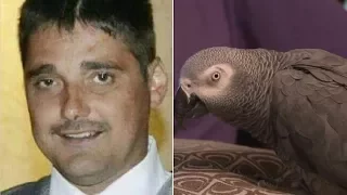 Parrot Was Key Witness in Murder Trial as Woman Is Convicted of Killing Husband